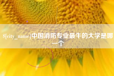 德宏中国消防专业最牛的大学是哪一个