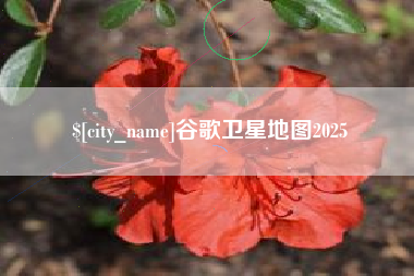 德宏谷歌卫星地图2025