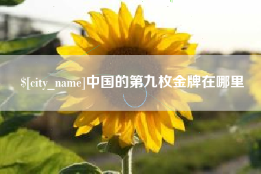 德宏中国的第九枚金牌在哪里