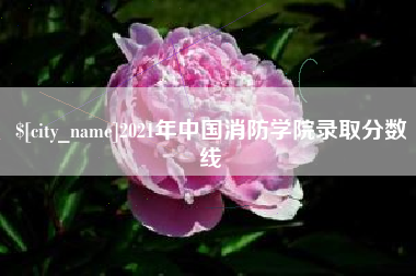 德宏2021年中国消防学院录取分数线