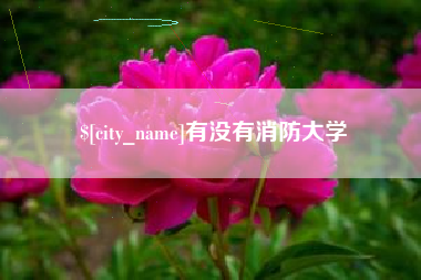 德宏有没有消防大学