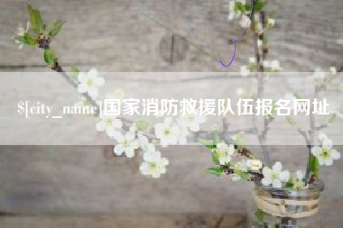德宏国家消防救援队伍报名网址