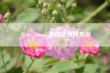 德宏消控证官网查询