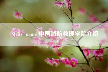 德宏中国消防救援学院介绍