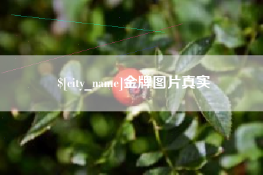德宏金牌图片真实
