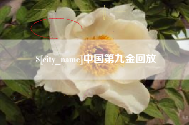 德宏中国第九金回放