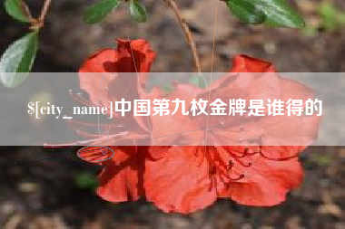 德宏中国第九枚金牌是谁得的