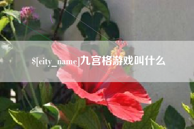 德宏九宫格游戏叫什么