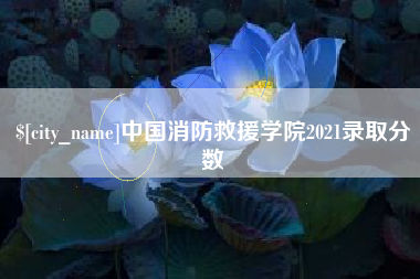 德宏中国消防救援学院2021录取分数