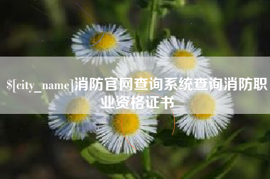 德宏消防官网查询系统查询消防职业资格证书