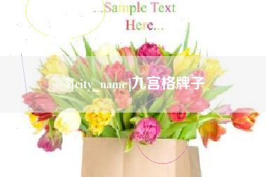 德宏九宫格牌子