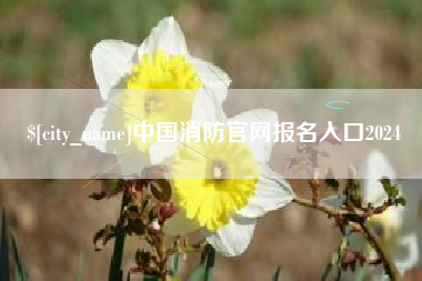 德宏中国消防官网报名入口2024