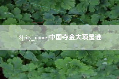 德宏中国夺金大项是谁
