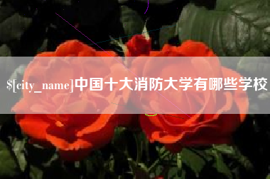 德宏中国十大消防大学有哪些学校