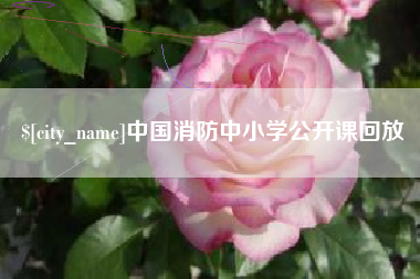 德宏中国消防中小学公开课回放