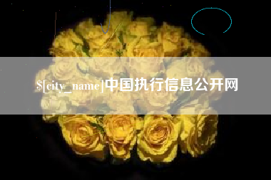 德宏中国执行信息公开网