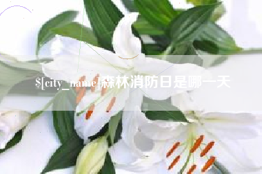 德宏森林消防日是哪一天