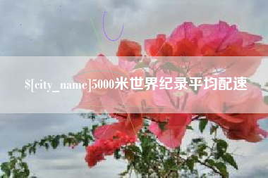 德宏5000米世界纪录平均配速