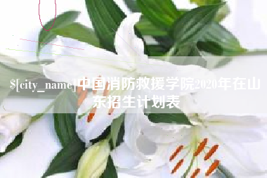 德宏中国消防救援学院2020年在山东招生计划表