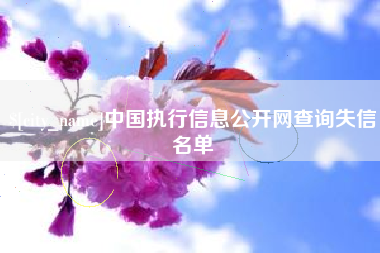 德宏中国执行信息公开网查询失信名单