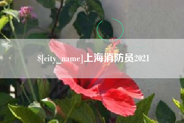 德宏上海消防员2021