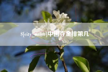 德宏中国夺金排第几