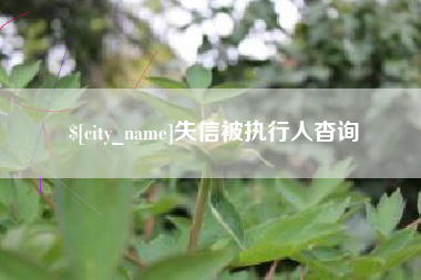 德宏失信被执行人杳询