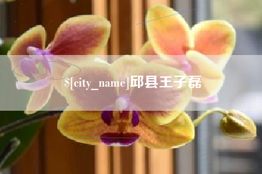 德宏邱县王子磊