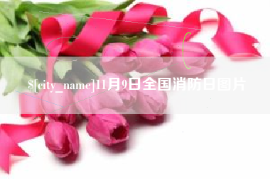 德宏11月9日全国消防日图片