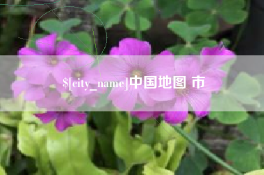 德宏中国地图 市