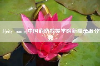 德宏中国消防救援学院新疆录取分数