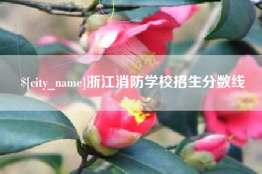 德宏浙江消防学校招生分数线