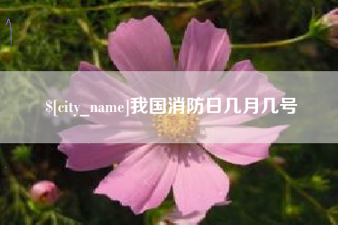 德宏我国消防日几月几号