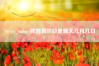 德宏我国消防日是哪天几月几日