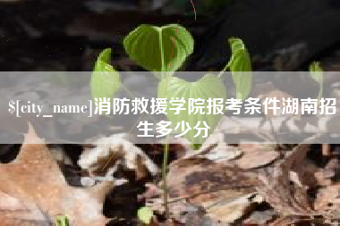 德宏消防救援学院报考条件湖南招生多少分