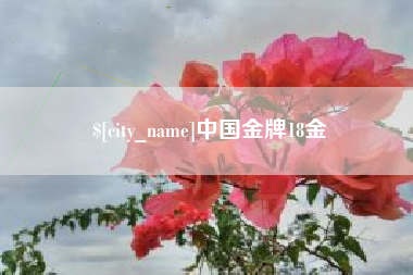 德宏中国金牌18金