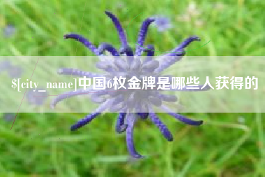 德宏中国6枚金牌是哪些人获得的
