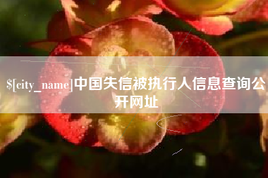 德宏中国失信被执行人信息查询公开网址