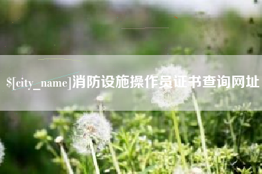 德宏消防设施操作员证书查询网址
