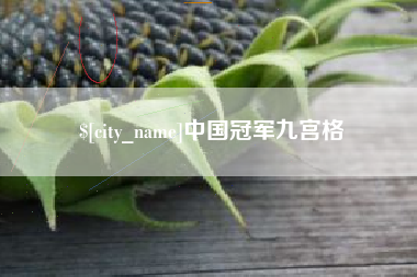 德宏中国冠军九宫格