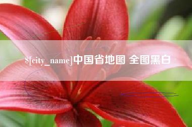 德宏中国省地图 全图黑白