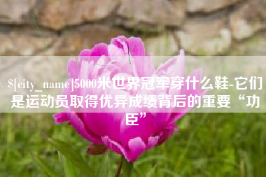 德宏5000米世界冠军穿什么鞋-它们是运动员取得优异成绩背后的重要“功臣”