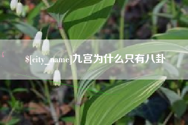 德宏九宫为什么只有八卦