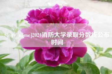 德宏2024消防大学录取分数线公布时间