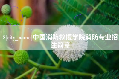 德宏中国消防救援学院消防专业招生简章