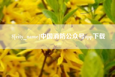 德宏中国消防公众号app下载