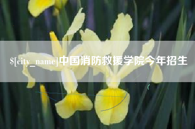 德宏中国消防救援学院今年招生