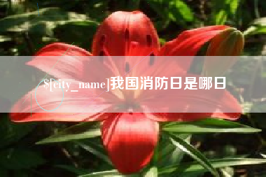 德宏我国消防日是哪日