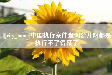 德宏中国执行案件查询公开网都是执行不了得案子