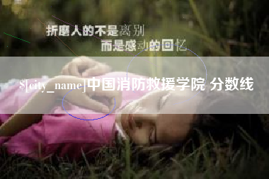 德宏中国消防救援学院 分数线